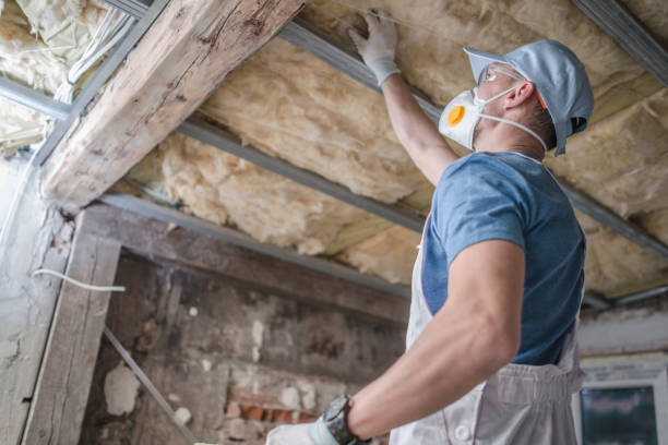Best Residential Insulation in Storm Lake, IA